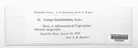 Image Associated With the Occurence